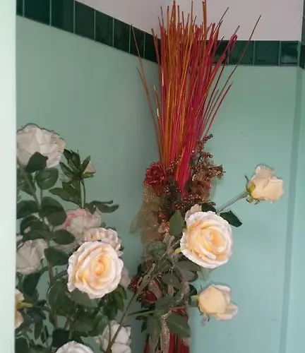 7 Seven Reggio de Calabre